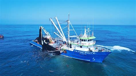 Barcos de pesca industrial en el océano