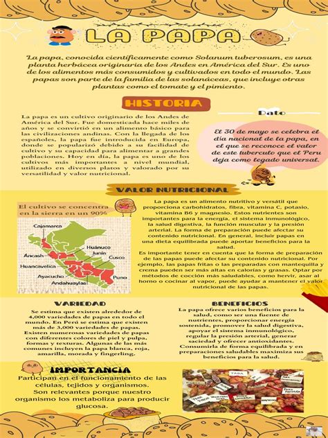 Infografía sobre la historia de la papa, sus variedades y su cultivo en el altiplano andino colombiano