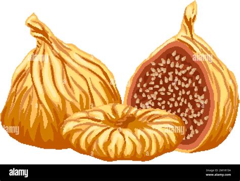Ilustración de higos frescos y secos junto a trozos de chocolate negro