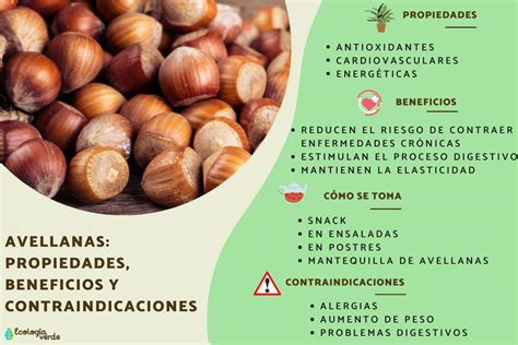infografía sobre los beneficios nutricionales de la avellana