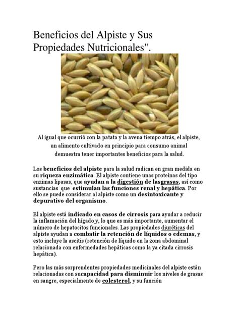 Infografía: Propiedades nutricionales del alpiste