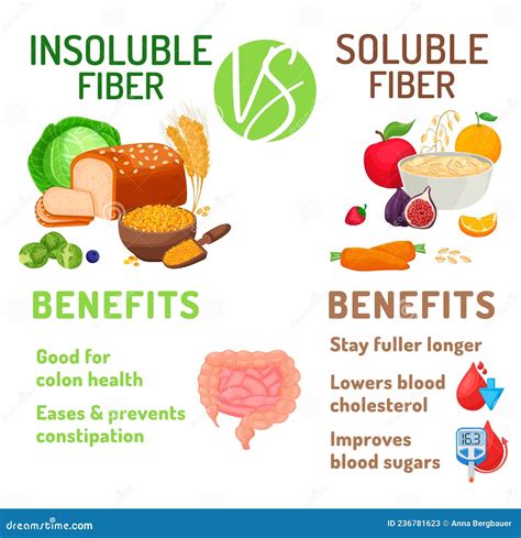 esquema de los beneficios de la fibra soluble e insoluble para la salud digestiva y cardiovascular