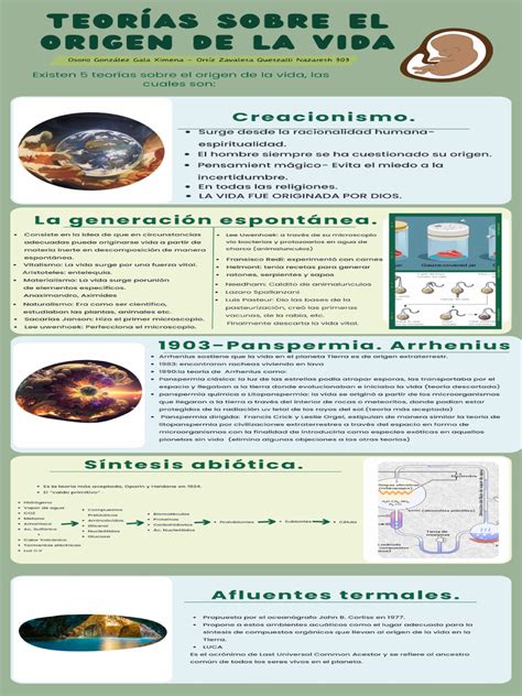 infografía sobre las teorías del origen de la hamburguesa