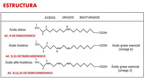Infografía mostrando la estructura de un ácido graso Omega-3 (ALA) y sus fuentes vegetales principales.