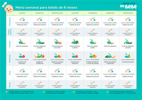 Infografía: Calendario básico de introducción de verduras para bebés de 6 meses (zanahoria, calabaza, calabacín)