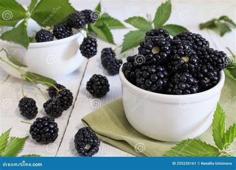Moras frescas en un bol