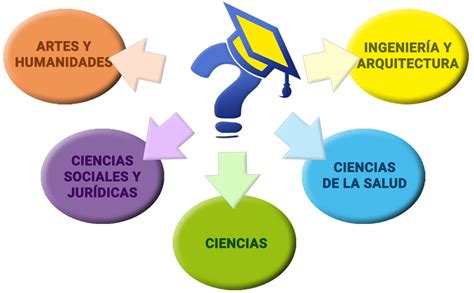 Esquema de las áreas de estudio en la formación de un preparador físico