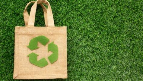 Infografía sobre materiales de bolsas reciclables y compostables
