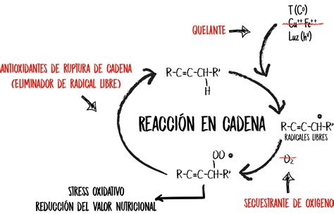 Esquema del proceso de oxidación de verduras cortadas