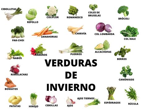 Infografía sobre cómo almacenar diferentes tipos de verduras: en agua, en papel, en recipientes