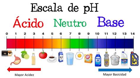 Esquema de la escala de pH con alimentos ácidos y alcalinos