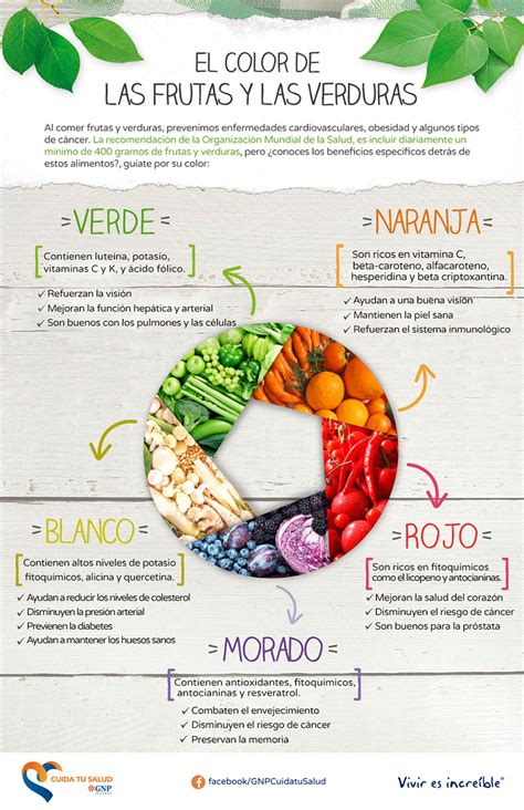 Infografía mostrando la relación entre el color de las frutas y verduras y sus nutrientes