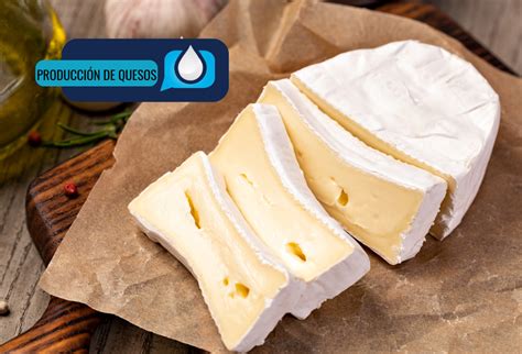 Infografía comparando procesos de coagulación enzimática y ácida en quesos