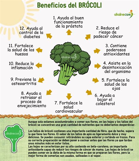 Infografía sobre los nutrientes clave en brócoli y espinacas