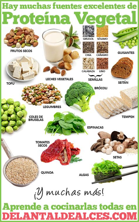 Infografía mostrando ejemplos de alimentos vegetales ricos en proteínas