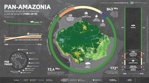 Mapa que ilustra las áreas de deforestación en la Amazonía, vinculando directamente la expansión de la ganadería y los cultivos para pienso animal.