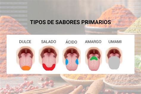 Infografía explicando los 5 sabores primarios y su rol en la cocina.