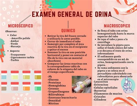 Esquema general de los componentes del examen de orina: físico, químico y sedimento microscópico.