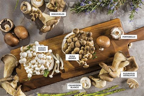 Variedad de hongos comestibles frescos: champiñones, shiitake, portobello y ostra.