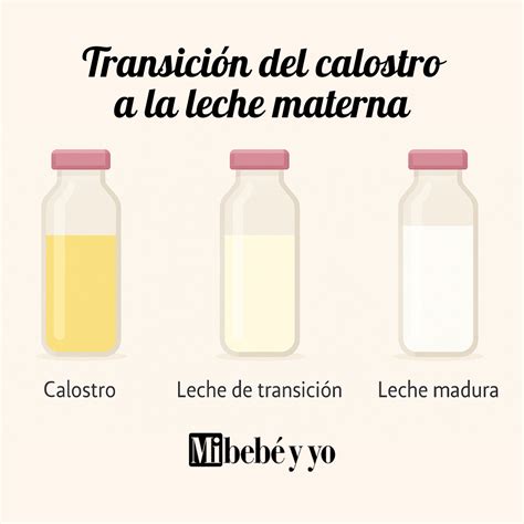 Ilustración de calostro, su textura y color amarillento