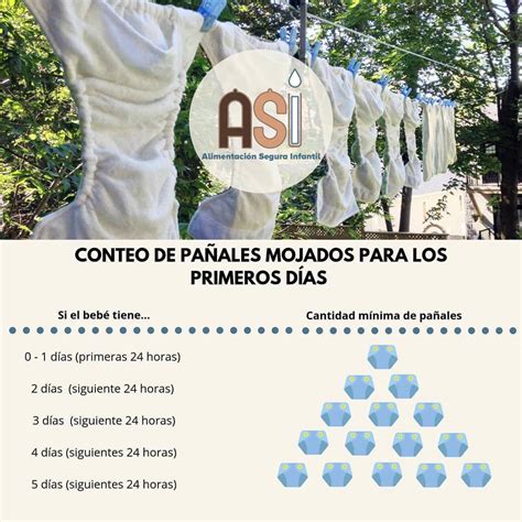 Infografía o diagrama explicando la cantidad de pañales mojados y evacuaciones según el día de vida del recién nacido