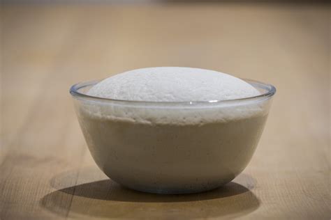 Foto de masa de pan fermentando en un bol