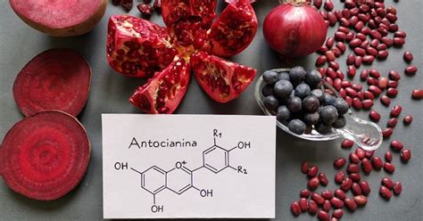 Infografía sobre las antocianinas, sus fuentes y beneficios para la salud