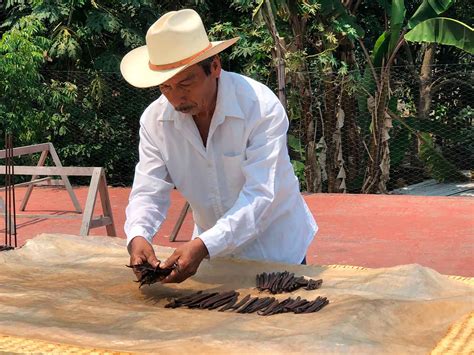 Mapa mostrando la región de Papantla, Veracruz, cuna de la vainilla
