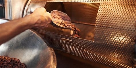 Ilustración de tostado de granos de cacao en una charola