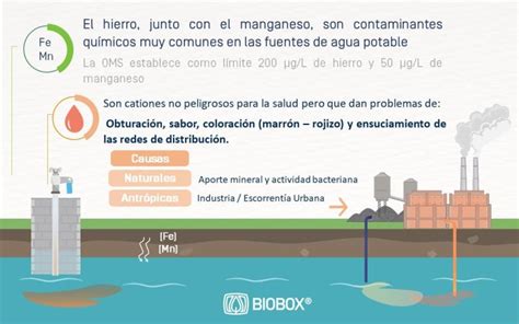 Infografía detallando las cuatro formas principales de hierro en el agua de pozo y sus características visuales.