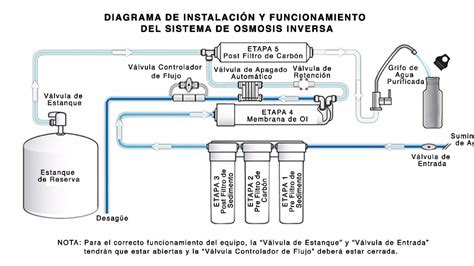 Esquema explicando el proceso de ósmosis en la berenjena al aplicar sal