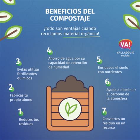 Infografía: Beneficios del compostaje doméstico para el suelo y las plantas