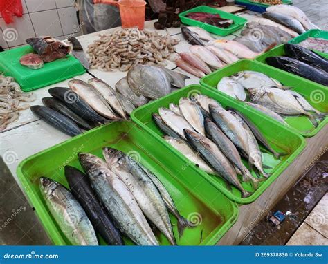 Foto de selección de pescado fresco en un mercado al amanecer