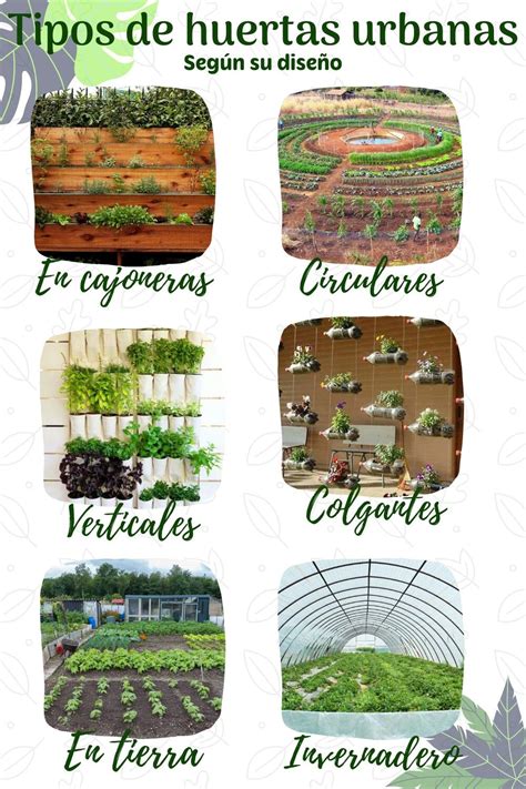 Esquema comparativo de los diferentes tipos de huertas (tradicional, ecológica, agroecológica) y sus características principales.
