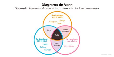 Infografía: Diagrama de Venn de cosmética vegana, cruelty-free y natural