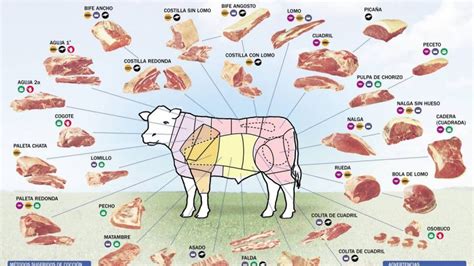 Esquema de los diferentes cortes de carne vacuna recomendados para horno según su grado de infiltración de grasa