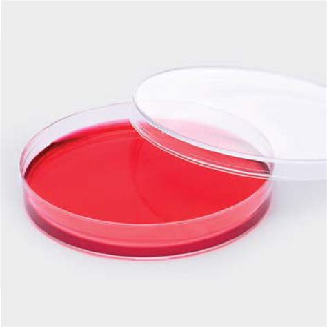 Estante de refrigeración con placas de Petri selladas y etiquetadas para almacenamiento