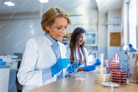 Científico de laboratorio examinando placas de Petri bajo campana de flujo laminar