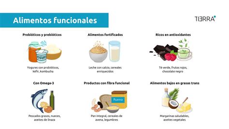 esquema de los tipos de validación científica de alimentos funcionales (in vitro, in vivo, clínica)