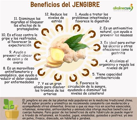 Infografía: Beneficios del zapallo y el jengibre