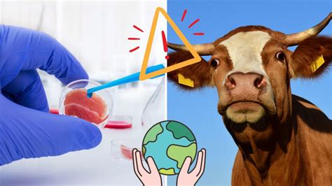 Infografía comparando el impacto ambiental de la carne tradicional vs. cultivada