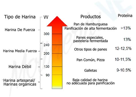 Tabla comparativa visual de harinas por fuerza (floja, panadera, fuerza, gran fuerza) con ejemplos de productos.