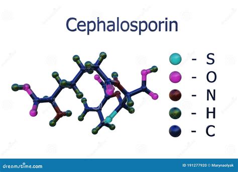 Esquema de la estructura química de una cefalosporina o ilustración de bacterias siendo eliminadas por antibióticos