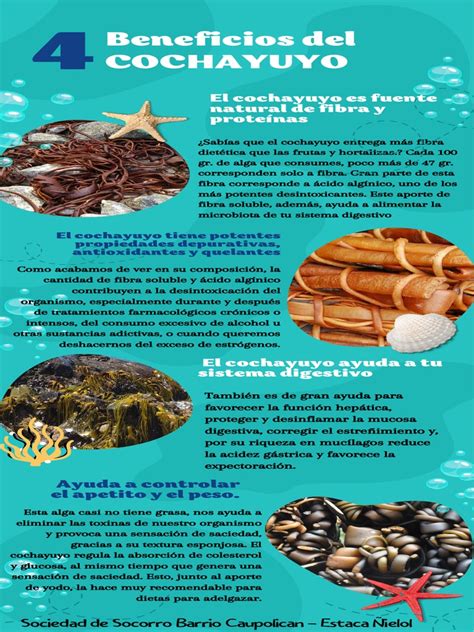 Infografía sobre los beneficios nutricionales del cochayuyo