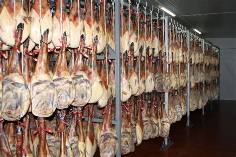 jamones colgados en cámaras de reposo