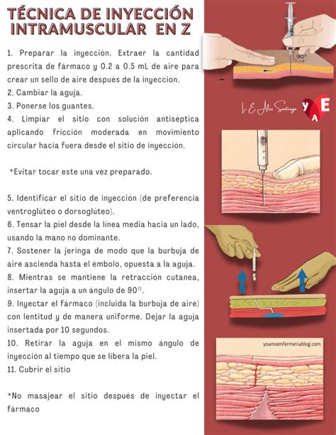 Esquema paso a paso de la técnica de inyección de pétalos en una base de gelatina transparente