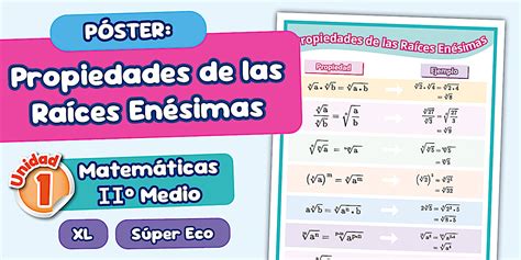 Infografía comparativa de propiedades nutricionales de raíces