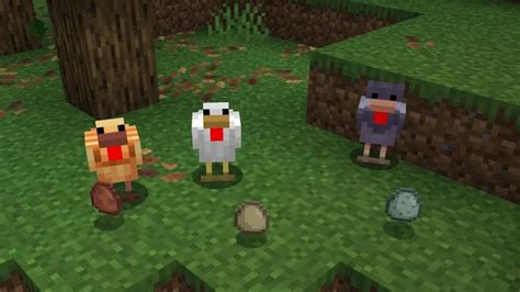 Dos gallinas de Minecraft comiendo diferentes tipos de semillas, con corazones flotando alrededor