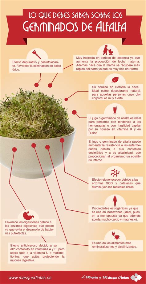 Infografía sobre los beneficios nutricionales de los germinados