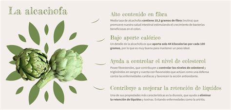 Infografía: Diagrama de los beneficios de la alcachofa en el hígado (producción de bilis, reducción de grasas, antioxidantes)